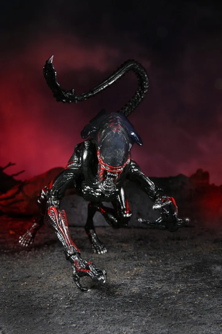 Aliens Kenner Tribute Night Cougar Alien 7-Inch Scale Action Figure