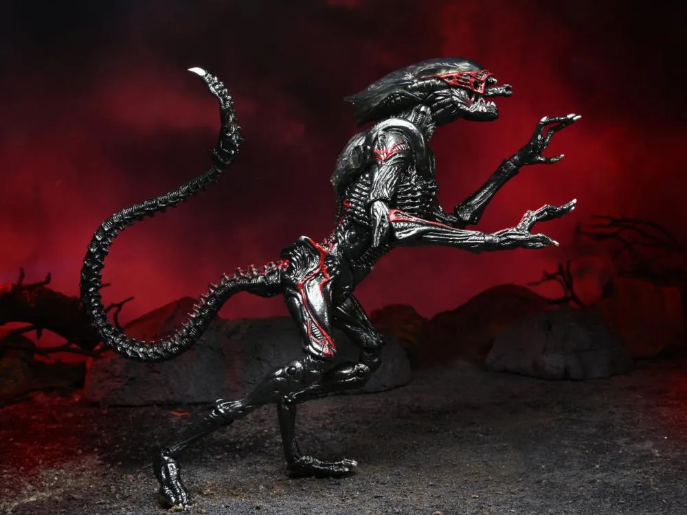 Aliens Kenner Tribute Night Cougar Alien
