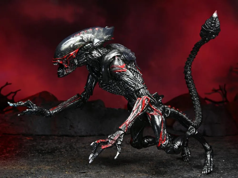 Aliens Kenner Tribute Night Cougar Alien