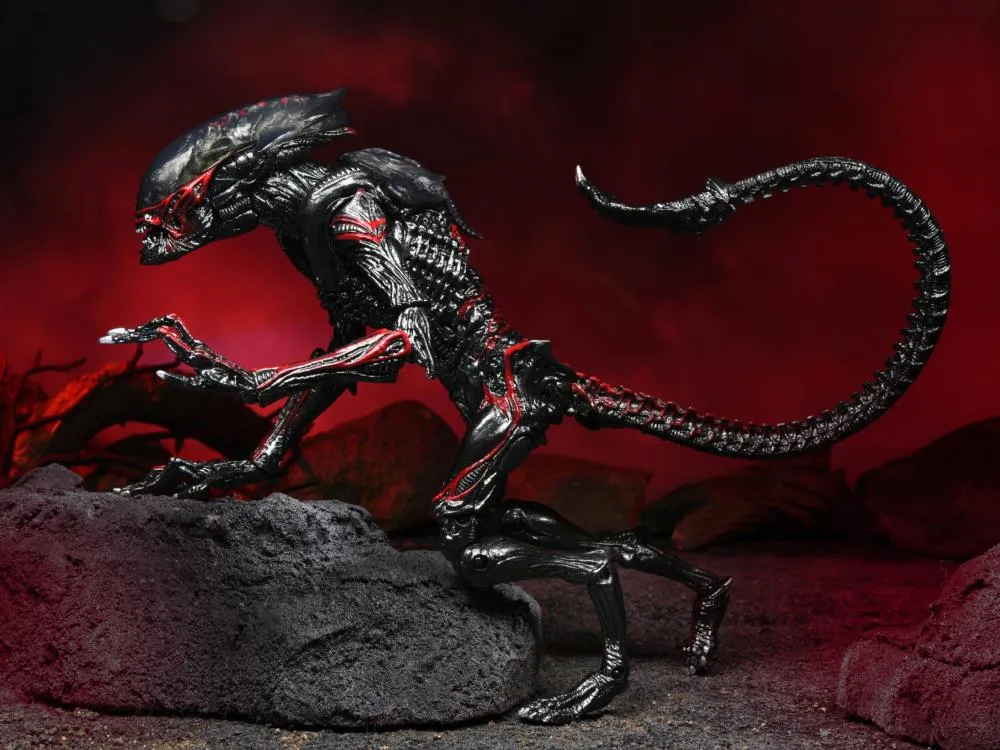 Aliens Kenner Tribute Night Cougar Alien