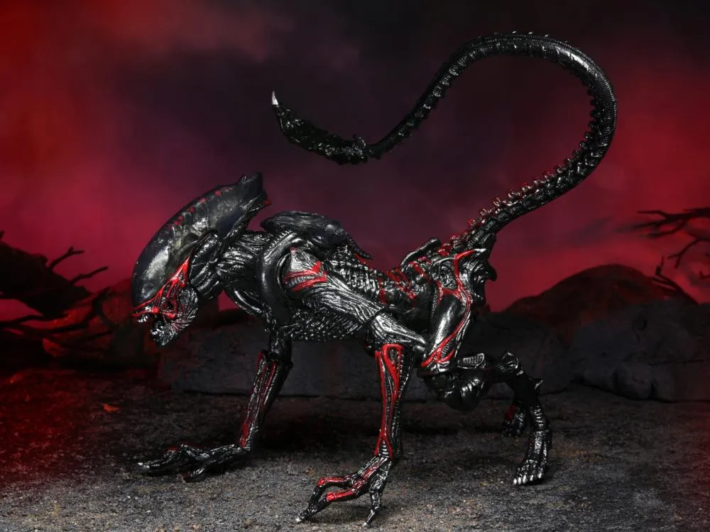 Aliens Kenner Tribute Night Cougar Alien