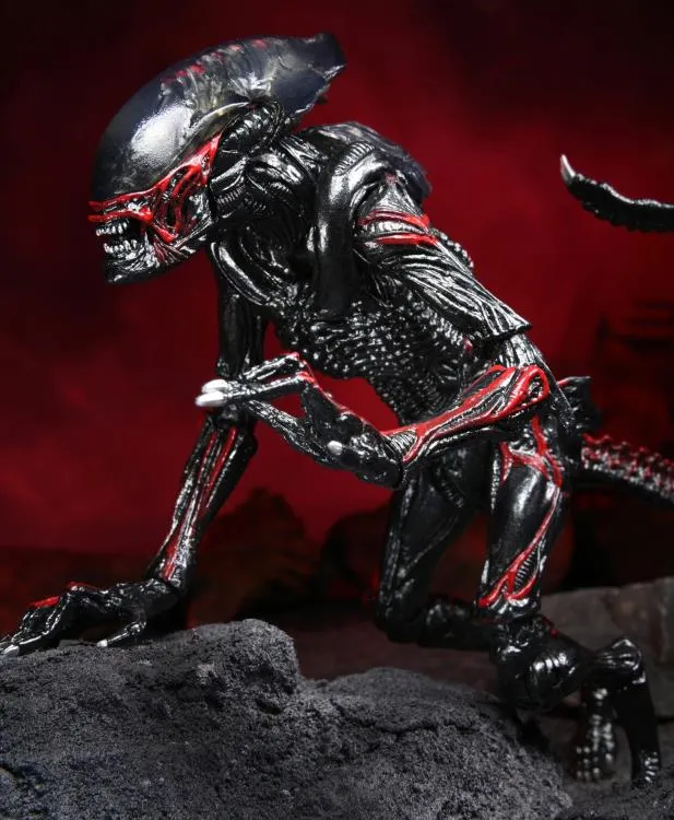 Aliens Kenner Tribute Night Cougar Alien