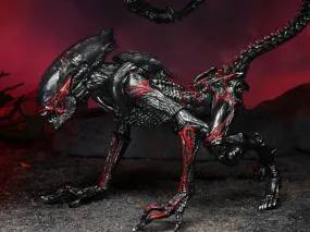 Aliens Kenner Tribute Night Cougar Alien