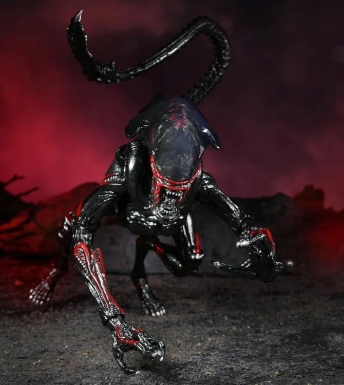 Aliens Kenner Tribute Night Cougar Alien