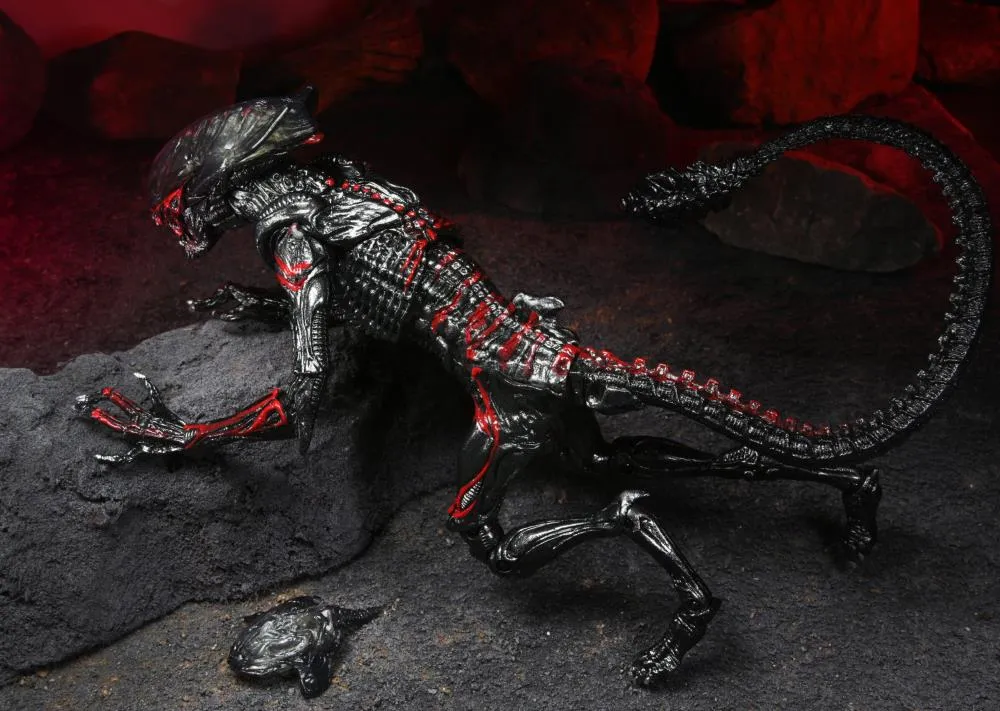 Aliens Kenner Tribute Night Cougar Alien