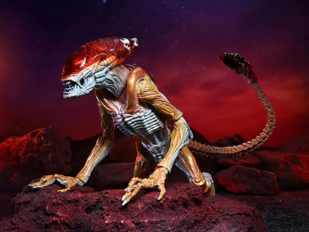 Aliens Kenner Tribute Panther Alien