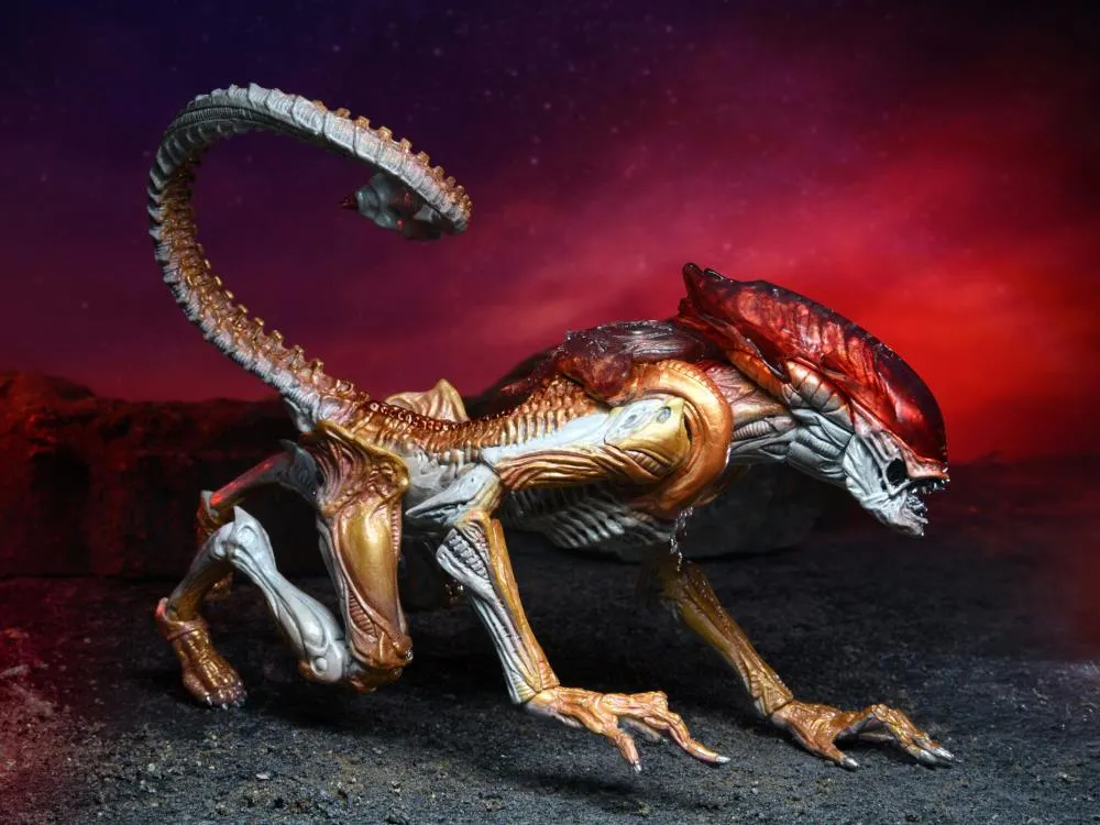 Aliens Kenner Tribute Panther Alien