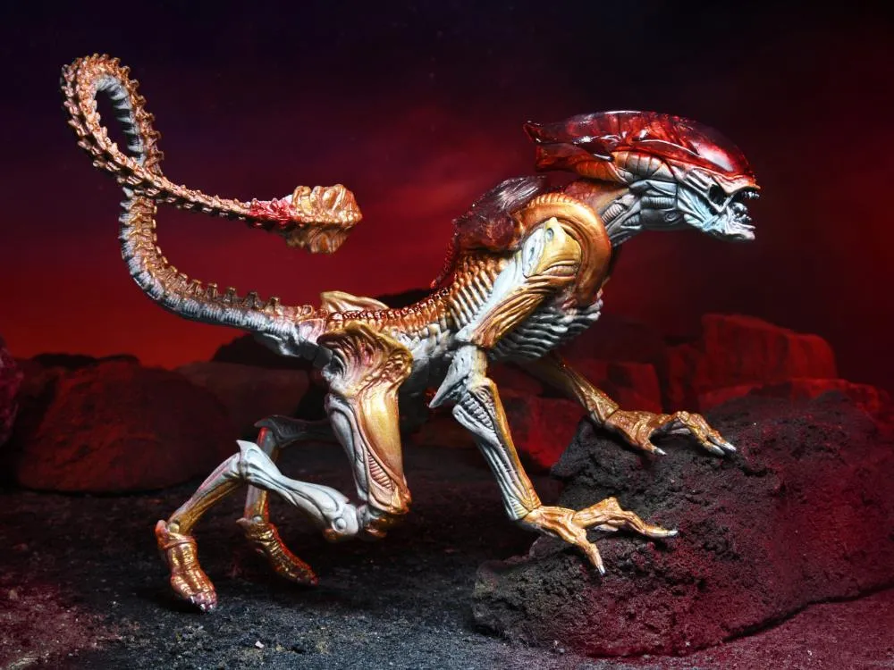 Aliens Kenner Tribute Panther Alien