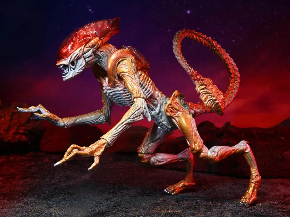 Aliens Kenner Tribute Panther Alien