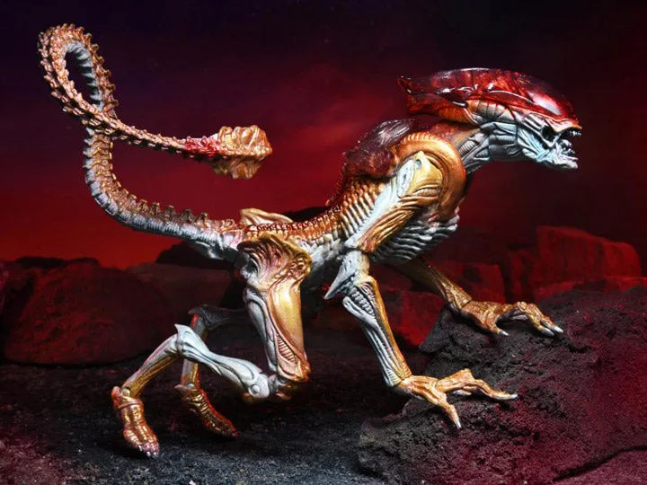 Aliens Kenner Tribute Panther Alien