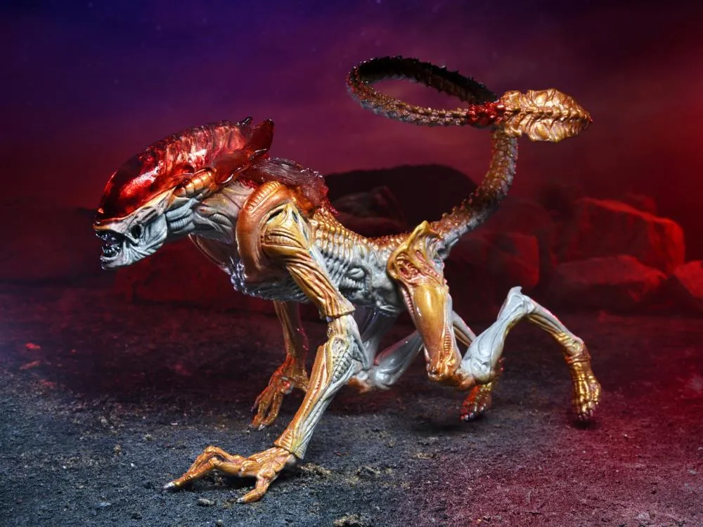 Aliens Kenner Tribute Panther Alien