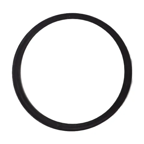 DJI Agras T10/T20/T20P/T30/T40/T50 Spray Tank Filter Rubber Ring