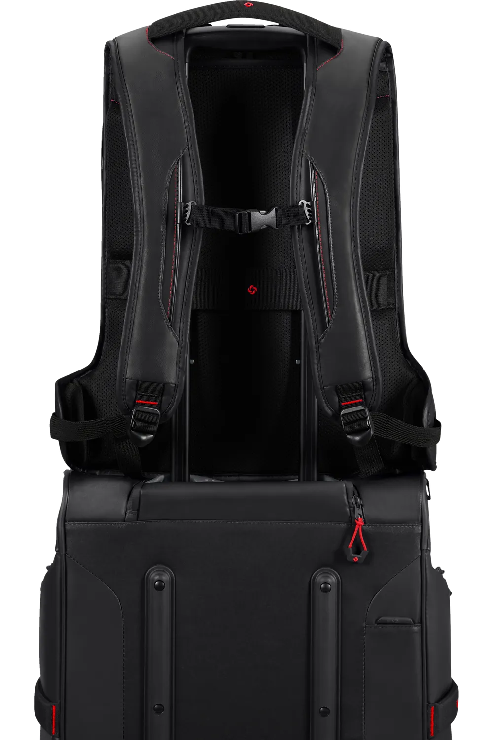 ECODIVER Backpack L - Black