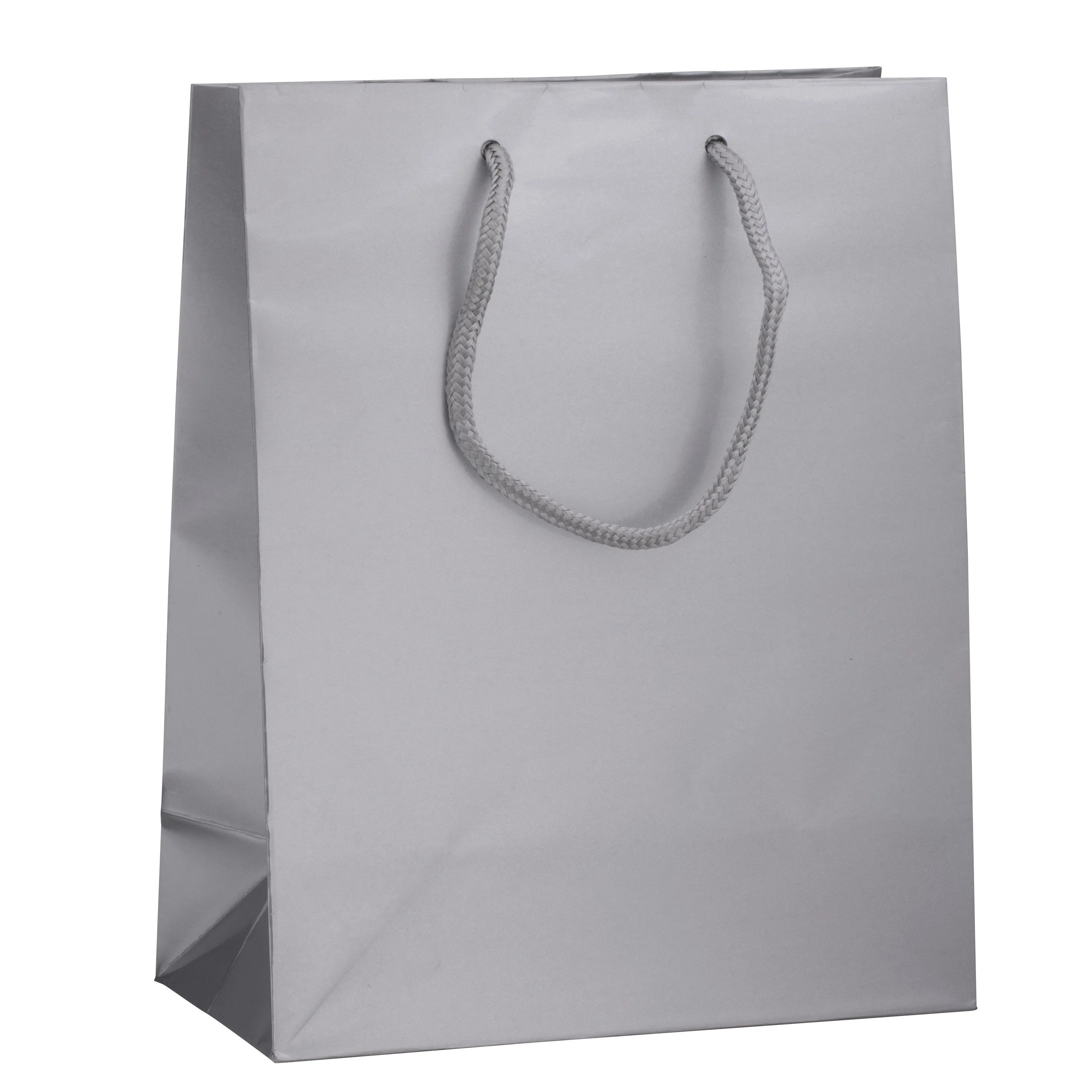 Glossy Tote Bag – Cub Size