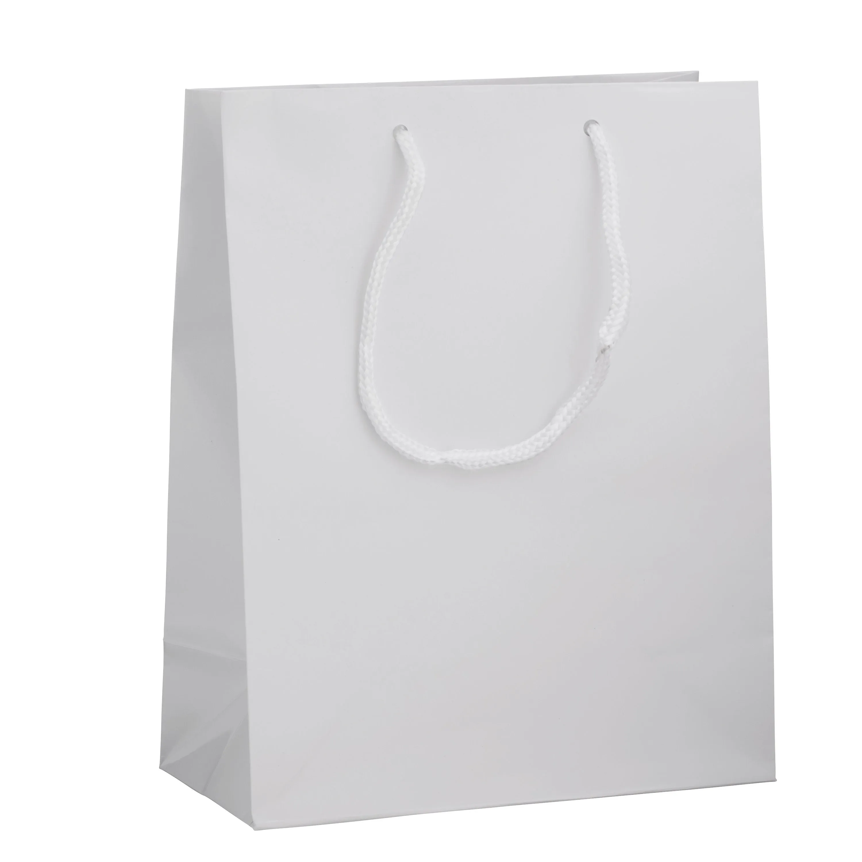 Glossy Tote Bag – Cub Size
