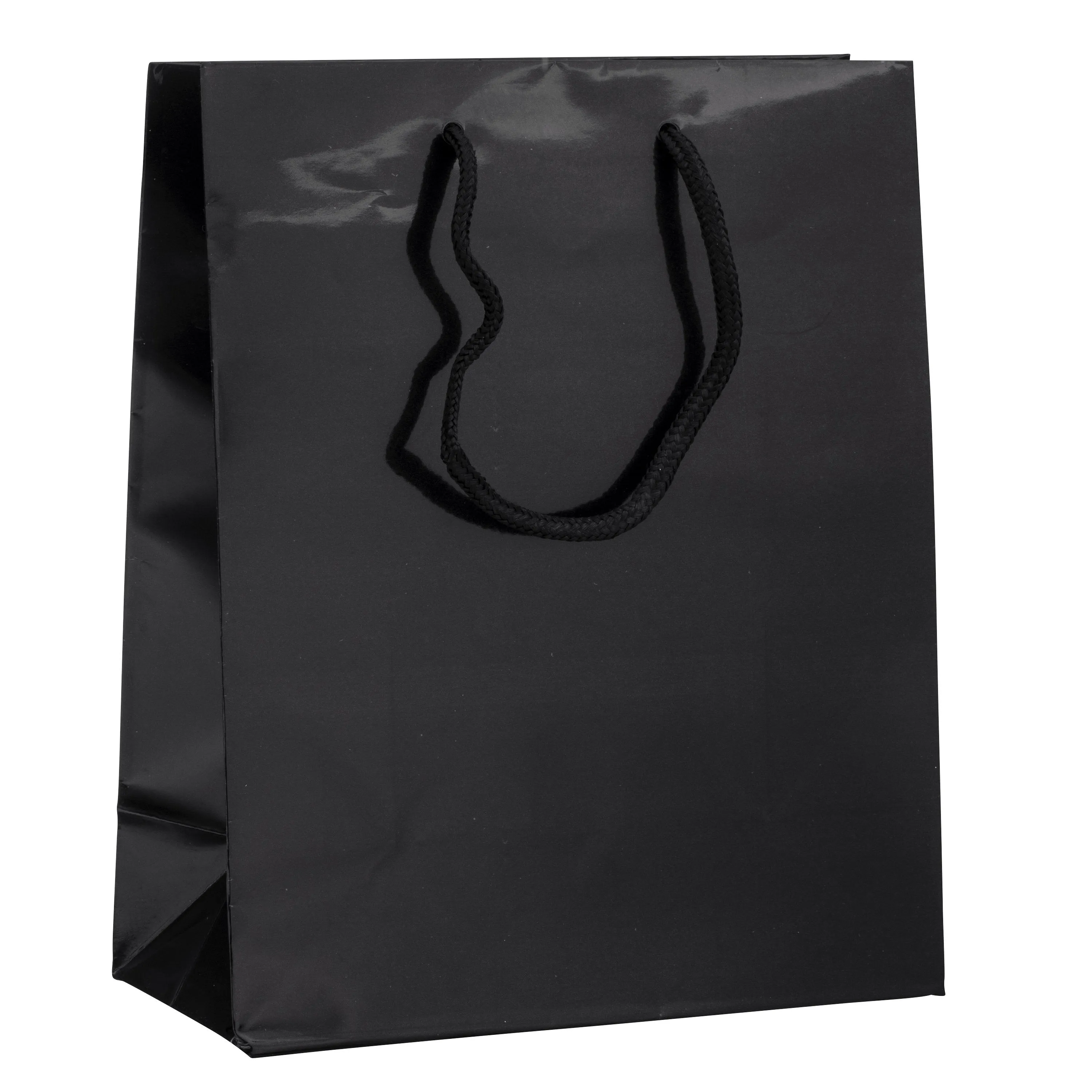 Glossy Tote Bag – Cub Size