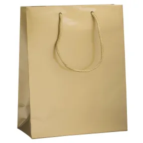Glossy Tote Bag – Cub Size