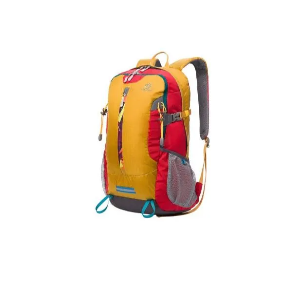 Hiking Bag/Travel Backpack