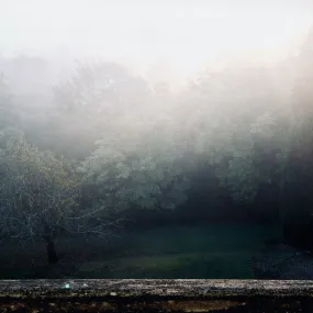 Robin Schlochtermeier - Spectral